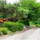 넘버원펜션 이미지