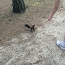 명가씽크 | 강릉 러닝여행 (벌집칼국수/이모네생선찜/거평수산/갤러리밥스)