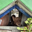 미나반점 이미지