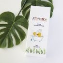 바스코리아 이미지