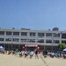 죽향초등학교 이미지