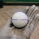 아이리스스크린골프 이미지