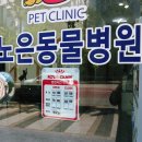 노은동물병원 네이버블로그