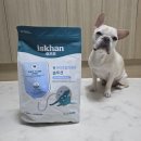 솔루션독 | 이즈칸 신제품 강아지사료 독 하이포알러제닉 솔루션 후기