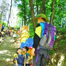 선창초교병설유치원 이미지