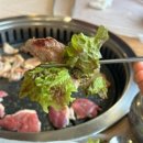 백년오리 이미지