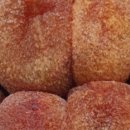 장성농장 이미지