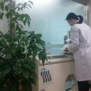 해제보건지소 이미지