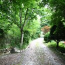 델라하우스 이미지