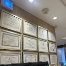 윌성형외과 | 가상 코성형 후 모습을 볼 수 있는 강남 윌성형외과 코성형 상담후기