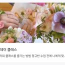 라이티티아플로 이미지