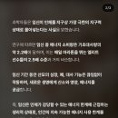 금학로256번길24 | 23주차 임산부 일상 (먹방, 정밀초음파📷, 그릇 쇼핑, 도노도노 기갈대 구입)