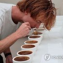 더베스트커피