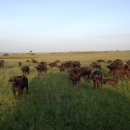 반포대로22길 100 이미지