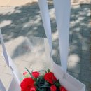 [일상] 5월..시험관 한달 쉬는동안 밀린 일상 털기_칼로하스_유비퀴놀