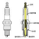 라이온모터스 이미지