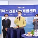 도시둥지