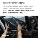 옵티멈썬팅