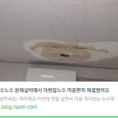 아래층 천장 물 떨어지는 누수 후기! 역시 전문가는 다르네~