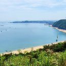 장고항 Daum카페