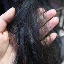 (주)뉴트리글로우 네이버블로그