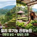 세계로관광농원 Daum카페