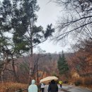순환로 311 | 남산 둘레길 트레일 러닝 후기 [주말 토요일 오전 9km 트런⛰️🏃‍♀️🏃🏃‍♂️]
