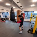 팀엑스 복싱 이미지