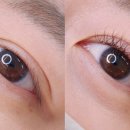 비비드 속눈썹 이미지