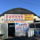 당진 안섬포구 단호박 칼국수 맛집/ 조개칼국수/ 해물칼국수/ 선상러브보트