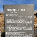 미내다리 이미지