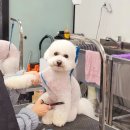 GS25 분당점 이미지