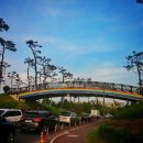 유림공원공연장 이미지