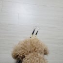 아트벨화방