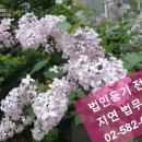 농업회사법인 주식회사 대부 이미지