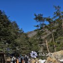 삼척 활기 치유의 숲 이미지