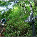 제669차 광주 (뉴)서석산악회 산청 대원사 계곡 산행 및 예약 이미지