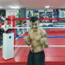 임선수 국내시합 8라운드 경기일정(2020.8.9 / KBA 대구 대산 복싱경기장 ) 이미지