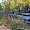 초전공원 이미지