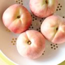 햇사레목장 이미지