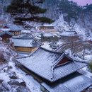 삼천배 이미지