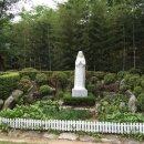 천주섭리수녀회 이미지