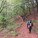 [8. 1 목요걷기] 호수와 산과 공원이 어울러진 미스테리한 수리산둘레길 갑니다 이미지