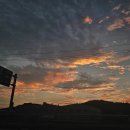 한사랑패밀리의원 이미지