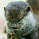 경복비지니스고 이미지