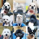 랄라펫살롱 이미지