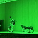 버들개초등학교 이미지