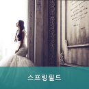 난곡동-42 | 강릉웨딩홀 스프링필드 예식 비용·서비스 비교 후기가 필요하다면