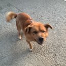 유진캣 | 1-2 스압주의