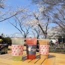 낙동강 벚꽃축제 푸드존 이미지